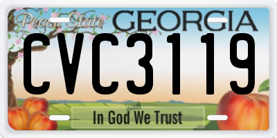 GA license plate CVC3119
