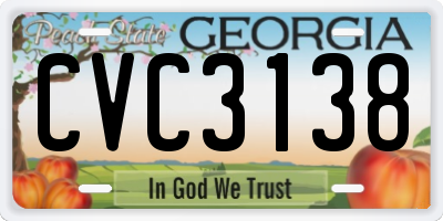 GA license plate CVC3138
