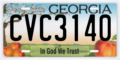 GA license plate CVC3140