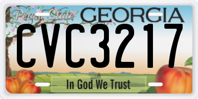 GA license plate CVC3217
