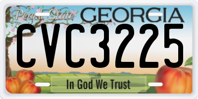 GA license plate CVC3225