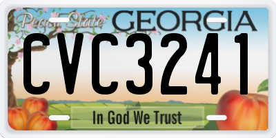 GA license plate CVC3241