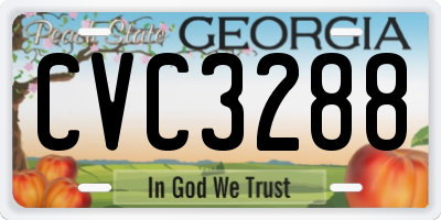 GA license plate CVC3288