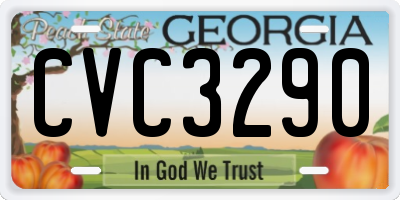 GA license plate CVC3290