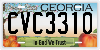 GA license plate CVC3310