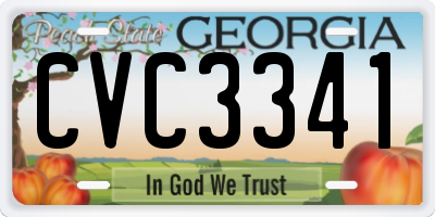 GA license plate CVC3341