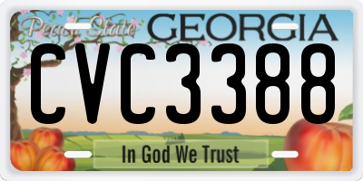 GA license plate CVC3388