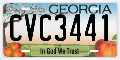 GA license plate CVC3441