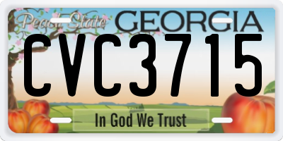 GA license plate CVC3715