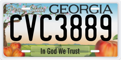 GA license plate CVC3889