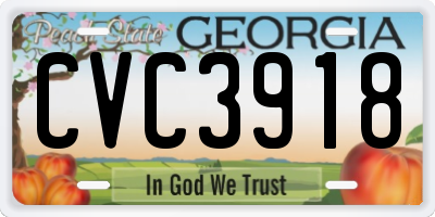 GA license plate CVC3918