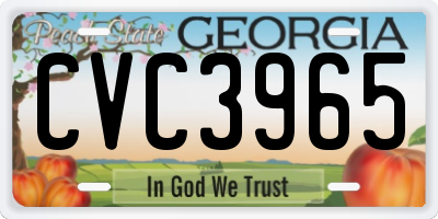 GA license plate CVC3965