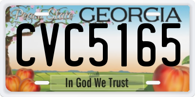GA license plate CVC5165