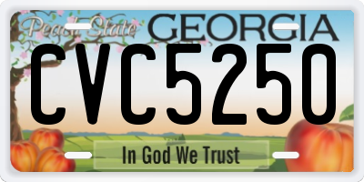 GA license plate CVC5250