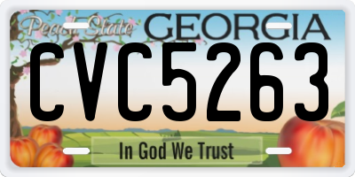 GA license plate CVC5263