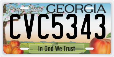 GA license plate CVC5343