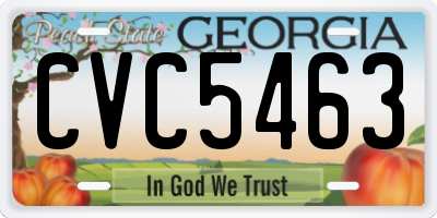GA license plate CVC5463