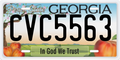GA license plate CVC5563