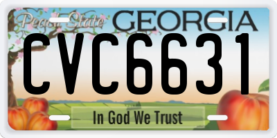 GA license plate CVC6631