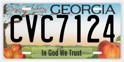 GA license plate CVC7124