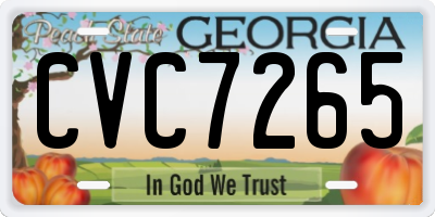 GA license plate CVC7265