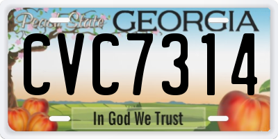 GA license plate CVC7314