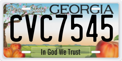 GA license plate CVC7545