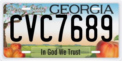 GA license plate CVC7689