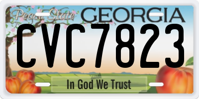 GA license plate CVC7823