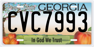 GA license plate CVC7993