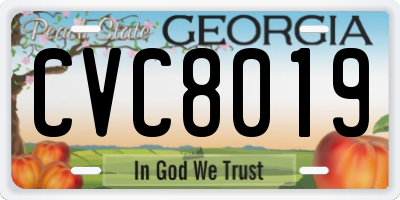 GA license plate CVC8019