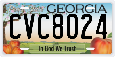 GA license plate CVC8024