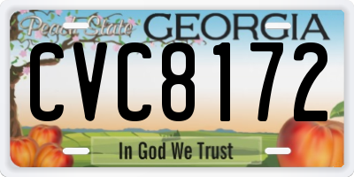 GA license plate CVC8172
