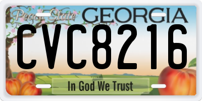 GA license plate CVC8216