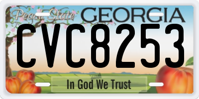 GA license plate CVC8253