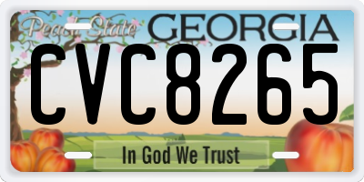 GA license plate CVC8265