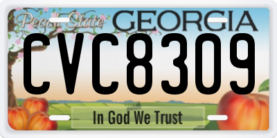 GA license plate CVC8309