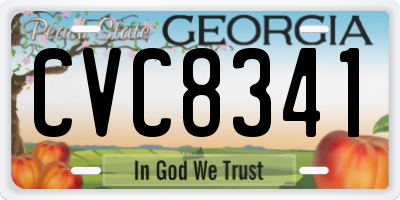 GA license plate CVC8341
