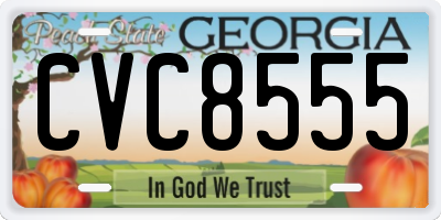 GA license plate CVC8555