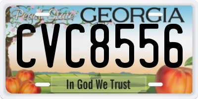 GA license plate CVC8556