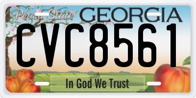 GA license plate CVC8561