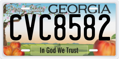 GA license plate CVC8582