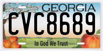GA license plate CVC8689