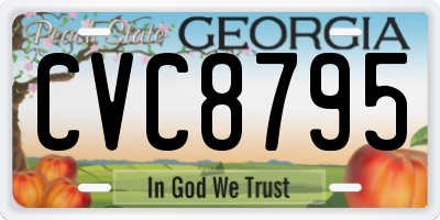 GA license plate CVC8795