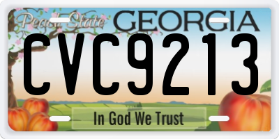 GA license plate CVC9213