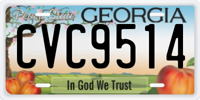 GA license plate CVC9514