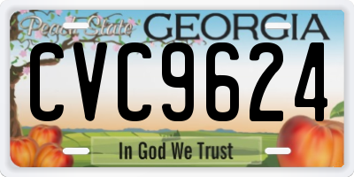 GA license plate CVC9624