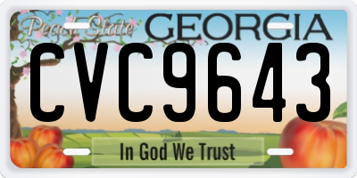 GA license plate CVC9643