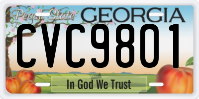 GA license plate CVC9801
