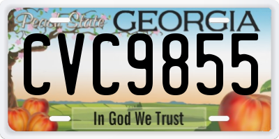 GA license plate CVC9855